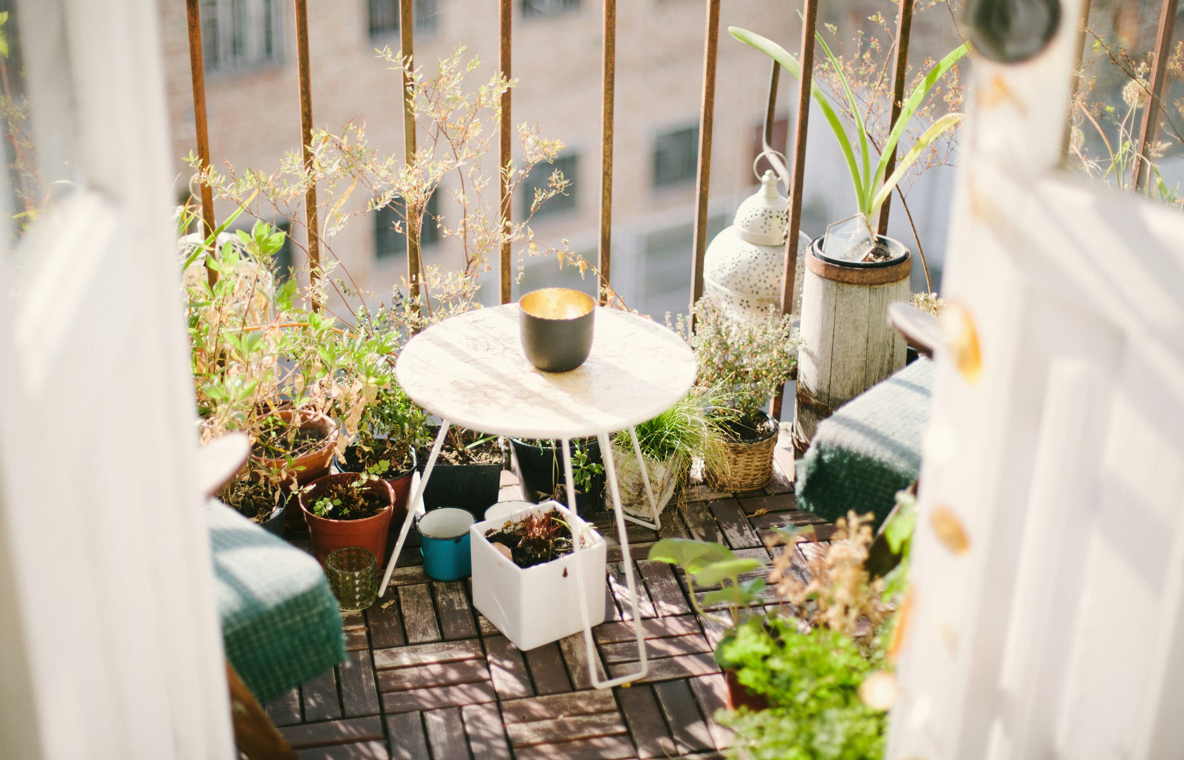 The Container Garden Watering Guide: How Much Is Actually Enough?