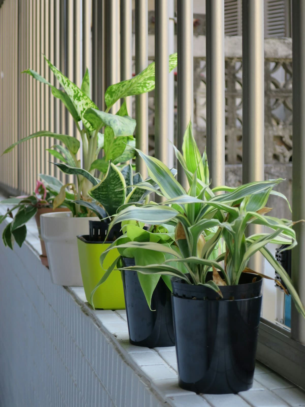 How to Choose the Right Planter