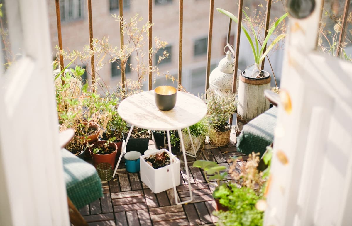 A collection of terracotta and ceramic planters arranged on a sunny patio