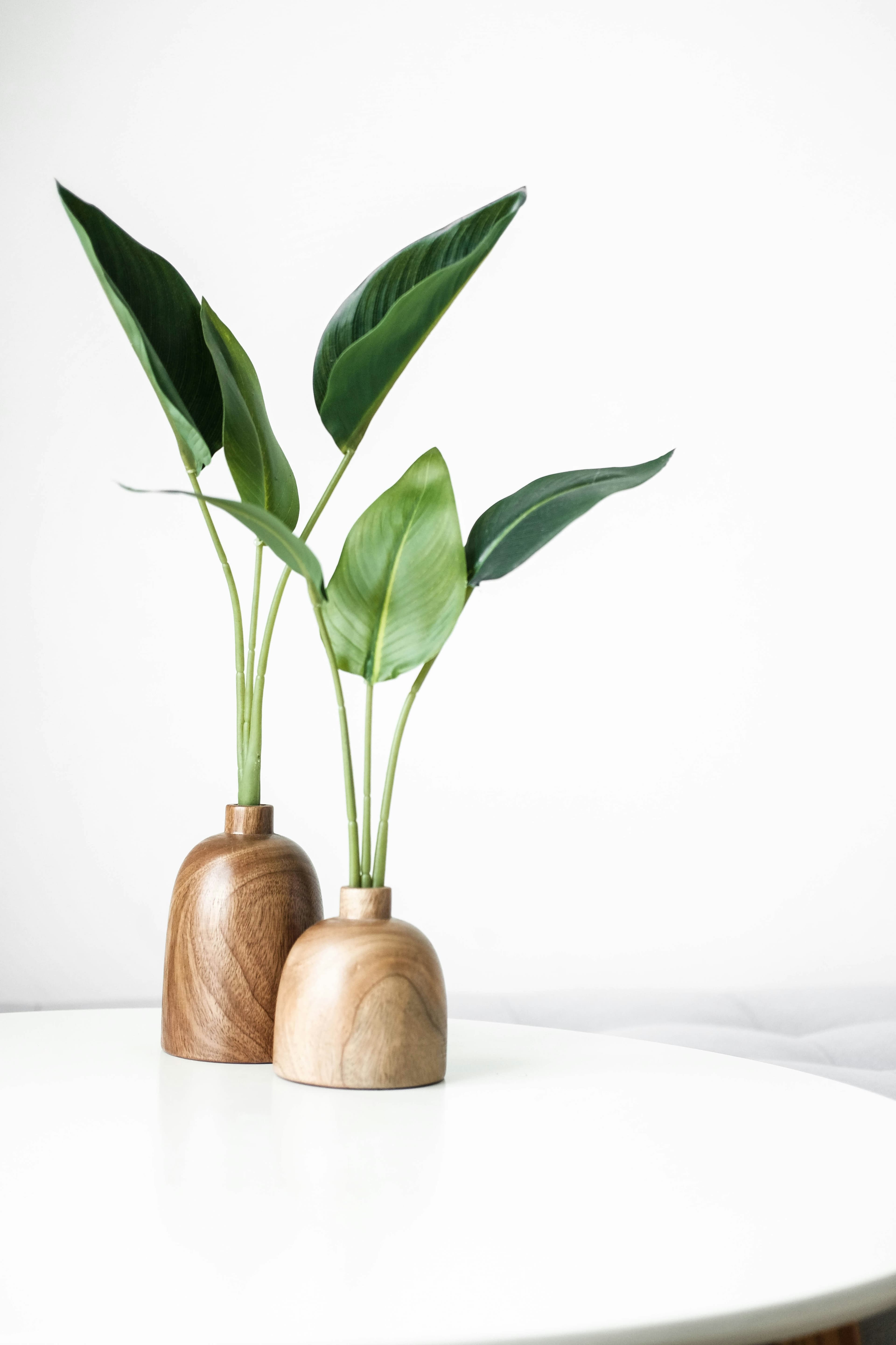 Self-Watering Planters: How They Actually Work (And When They Fail)