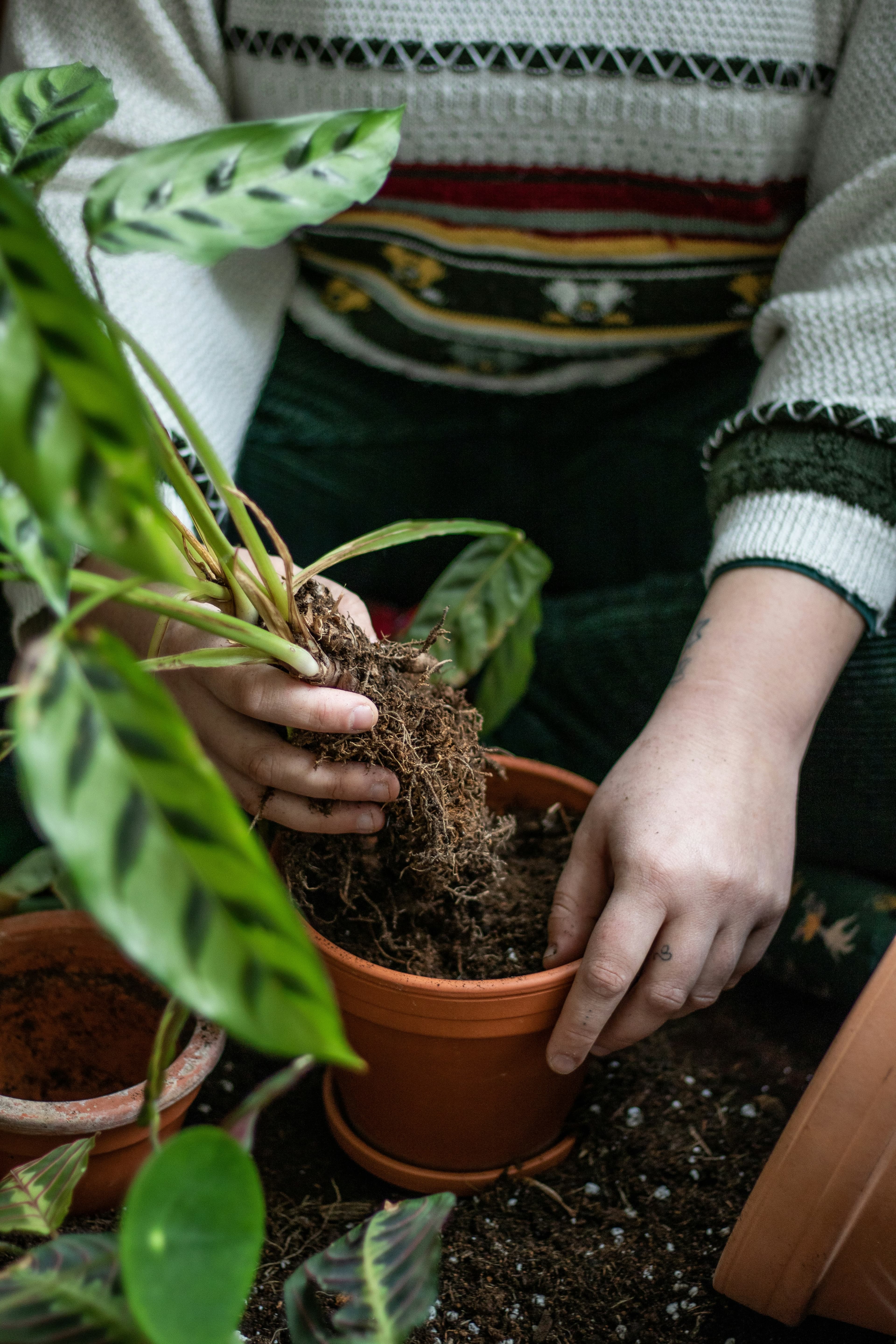 Start a Herb Container Garden This Weekend (Even If You've Never Grown Anything)