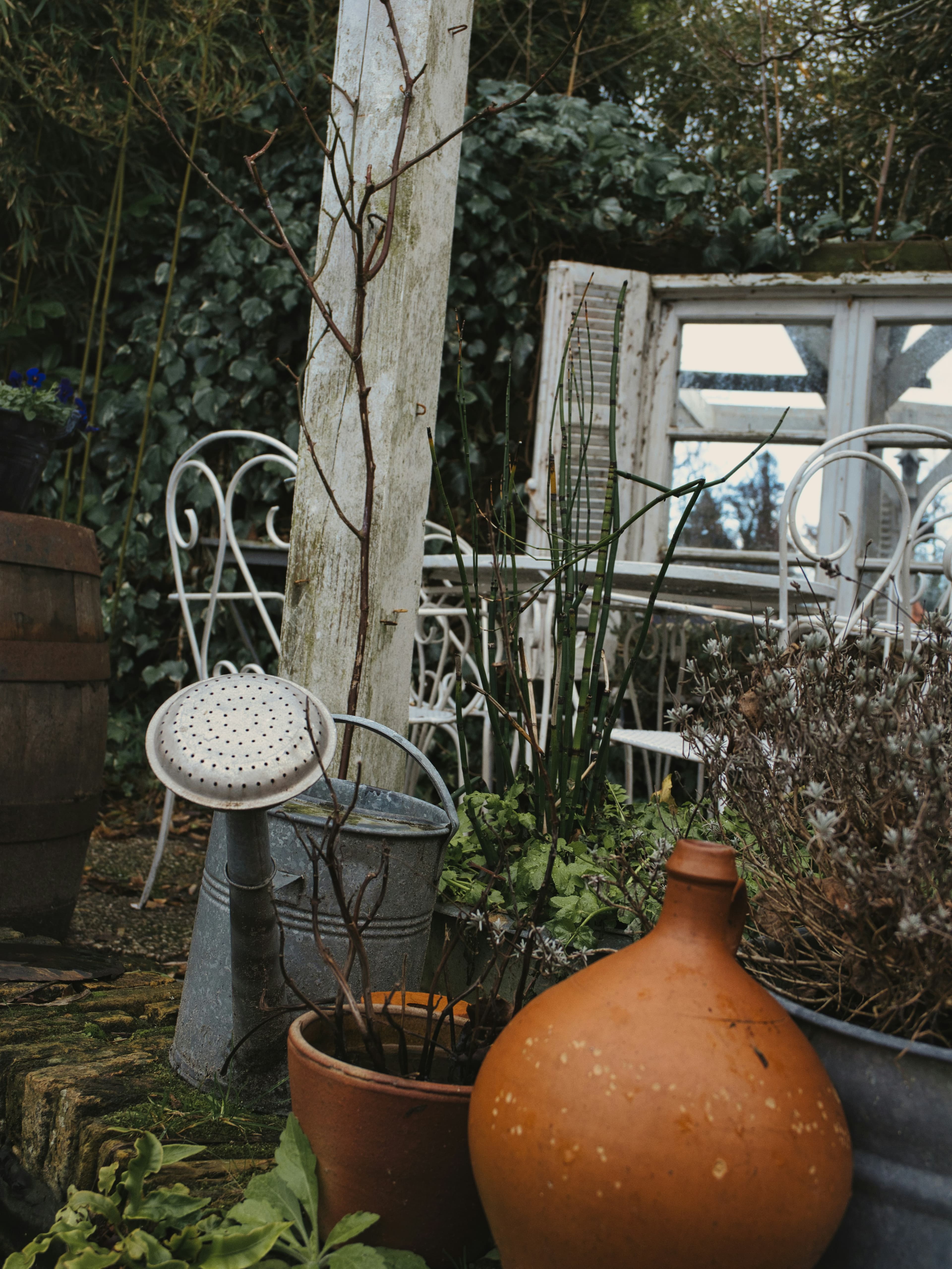 Small herb pots on sunny windowsill